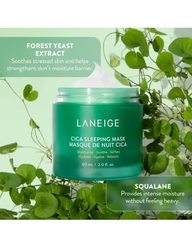 Laneige  - Cica Sleeping Mask - Ansigtsmaske med Cica